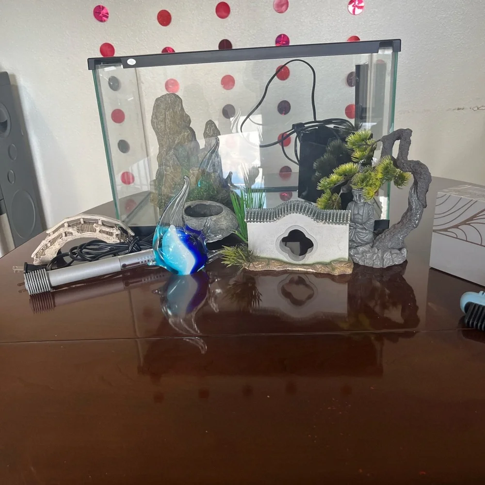 Glass Fish Tank with Accessories